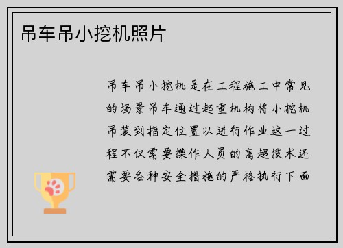 吊车吊小挖机照片